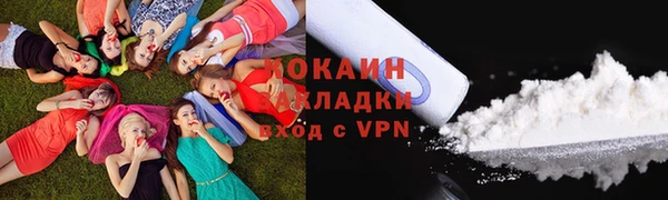 стаф Волосово