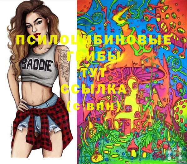 spice Володарск
