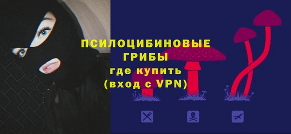 стаф Волосово