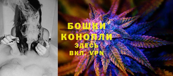ГАЛЛЮЦИНОГЕННЫЕ ГРИБЫ Верхний Тагил