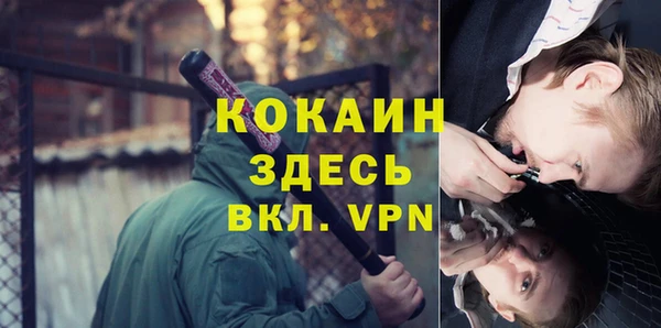 стаф Волосово